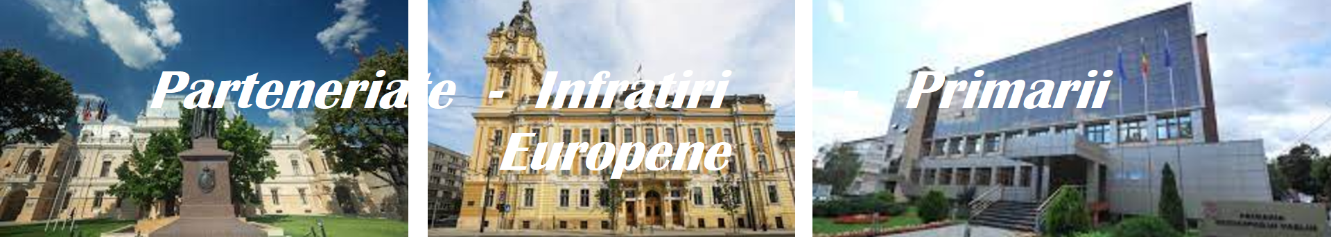 primariile din romania